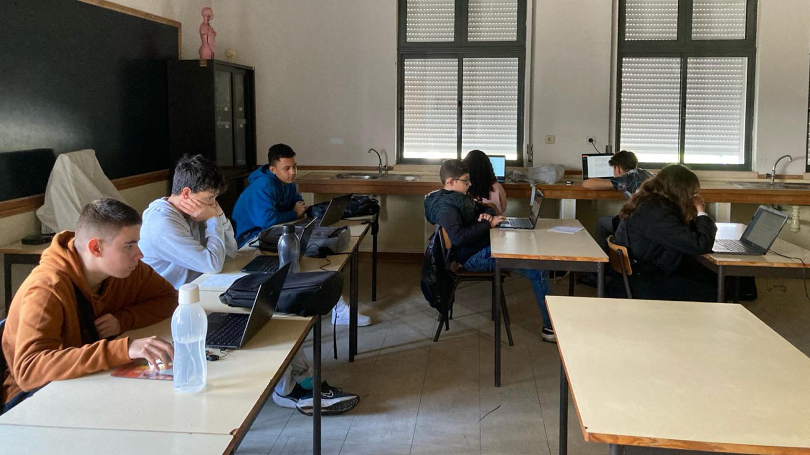 Olimpíadas de Biologia Júnior 2024