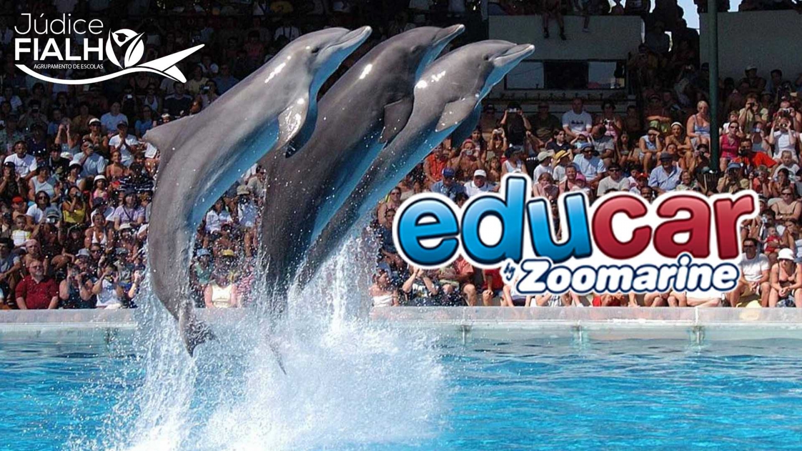 ZOO MARINE NA NOSSA ESCOLA