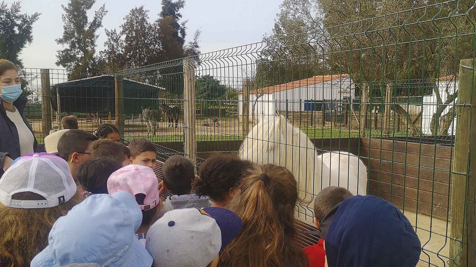 Atividade de saída de campo à Quinta Pedagógica de Portimão - 1º APM
