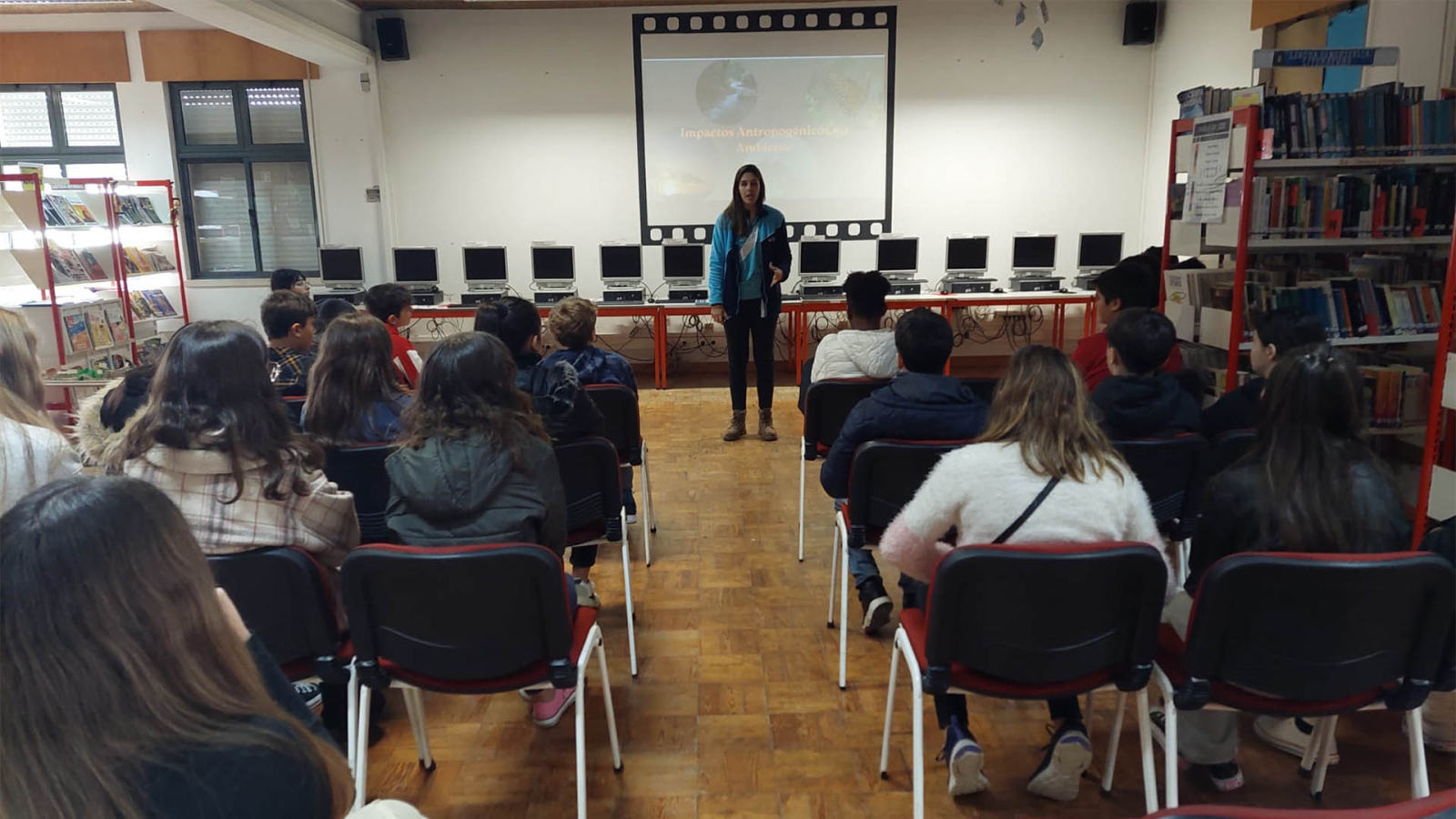 A poluição marinha e a história de uma gaivota e do gato que a ensinou a voar