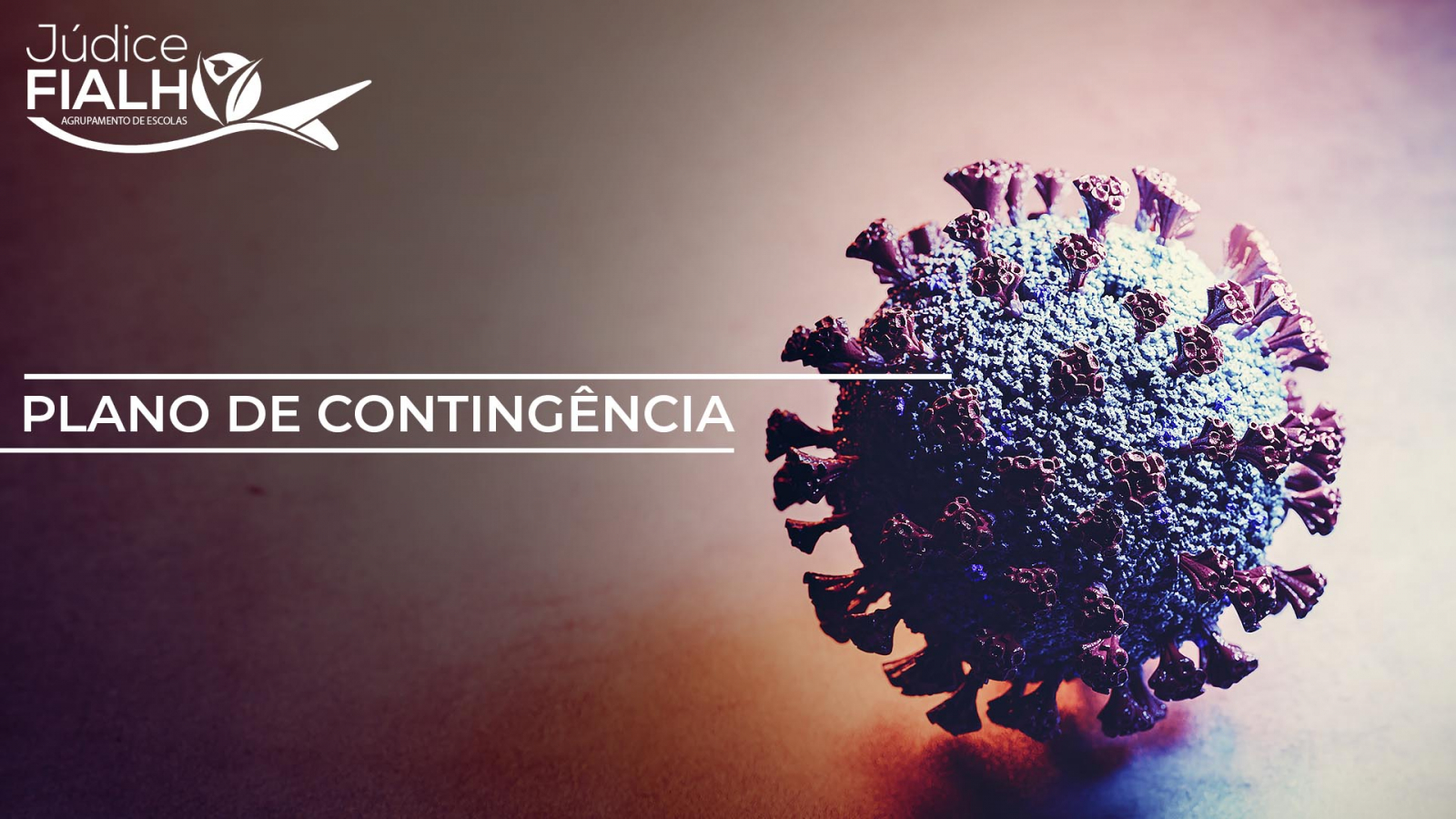 COVID-19 - Plano de Contingência do Agrupamento