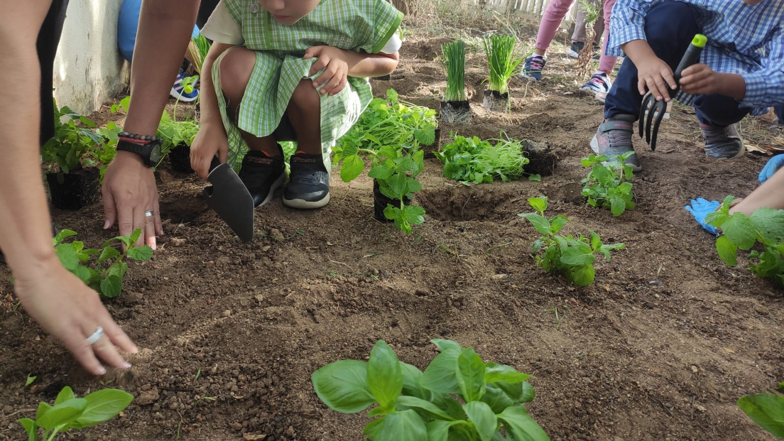 Dia Mundial da Alimentação