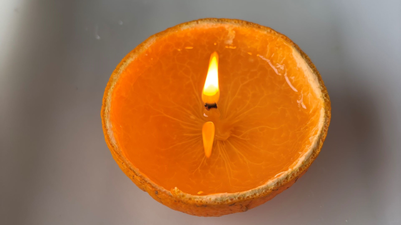 Mês da laranja no Clube Ciência Viva na Escola