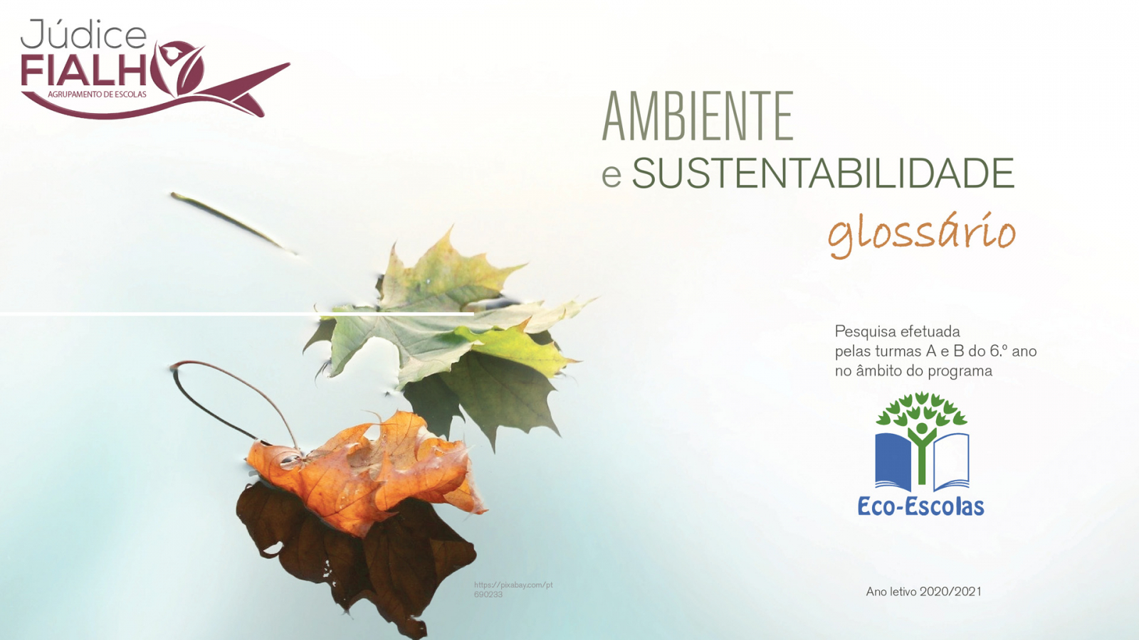 Ambiente e Sustentabilidade - Eco-escolas