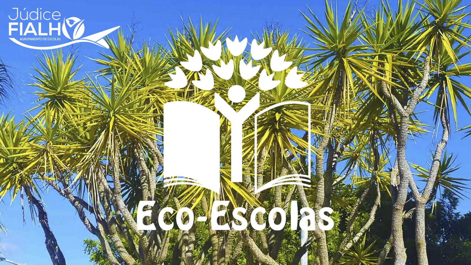 DIA DA FLORESTA AUTÓCTONE - 23 de novembro