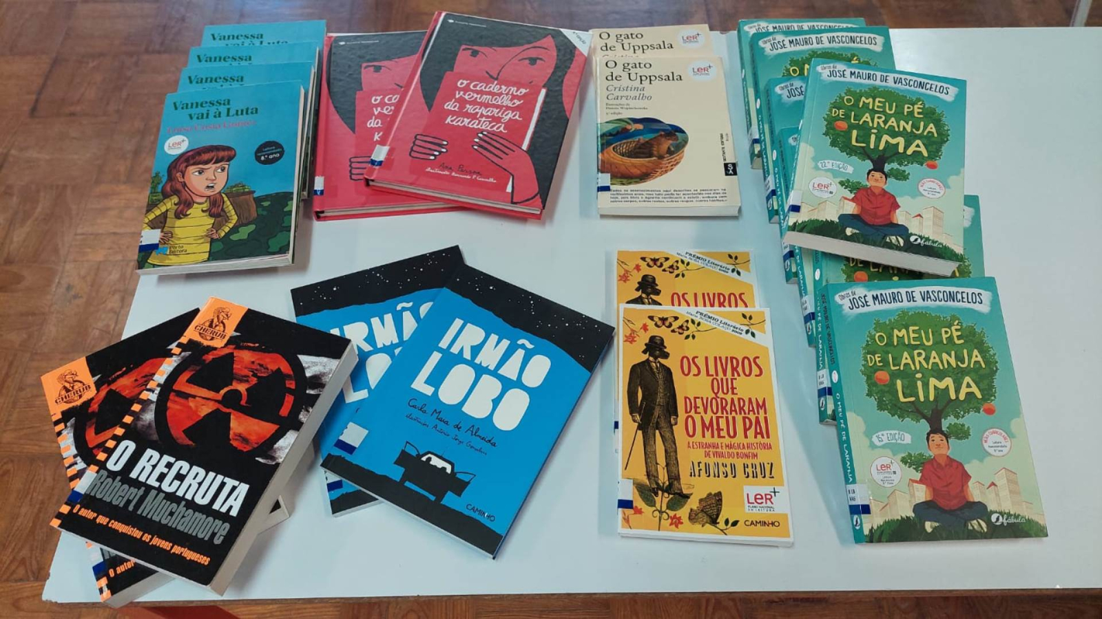 Novidades na biblioteca