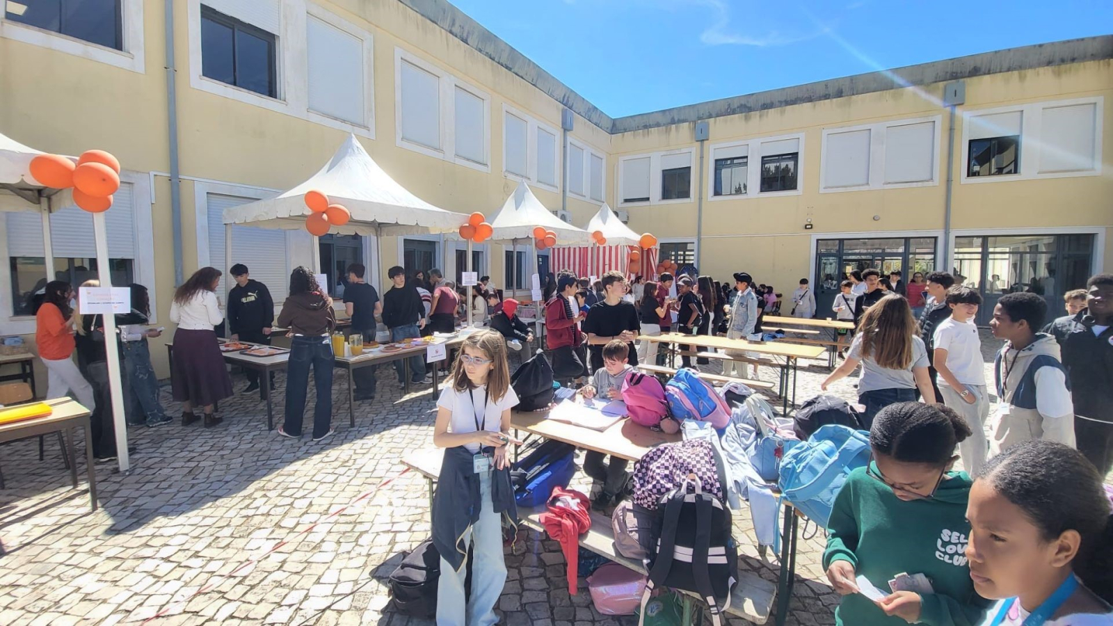 PORTIRANJA em ação