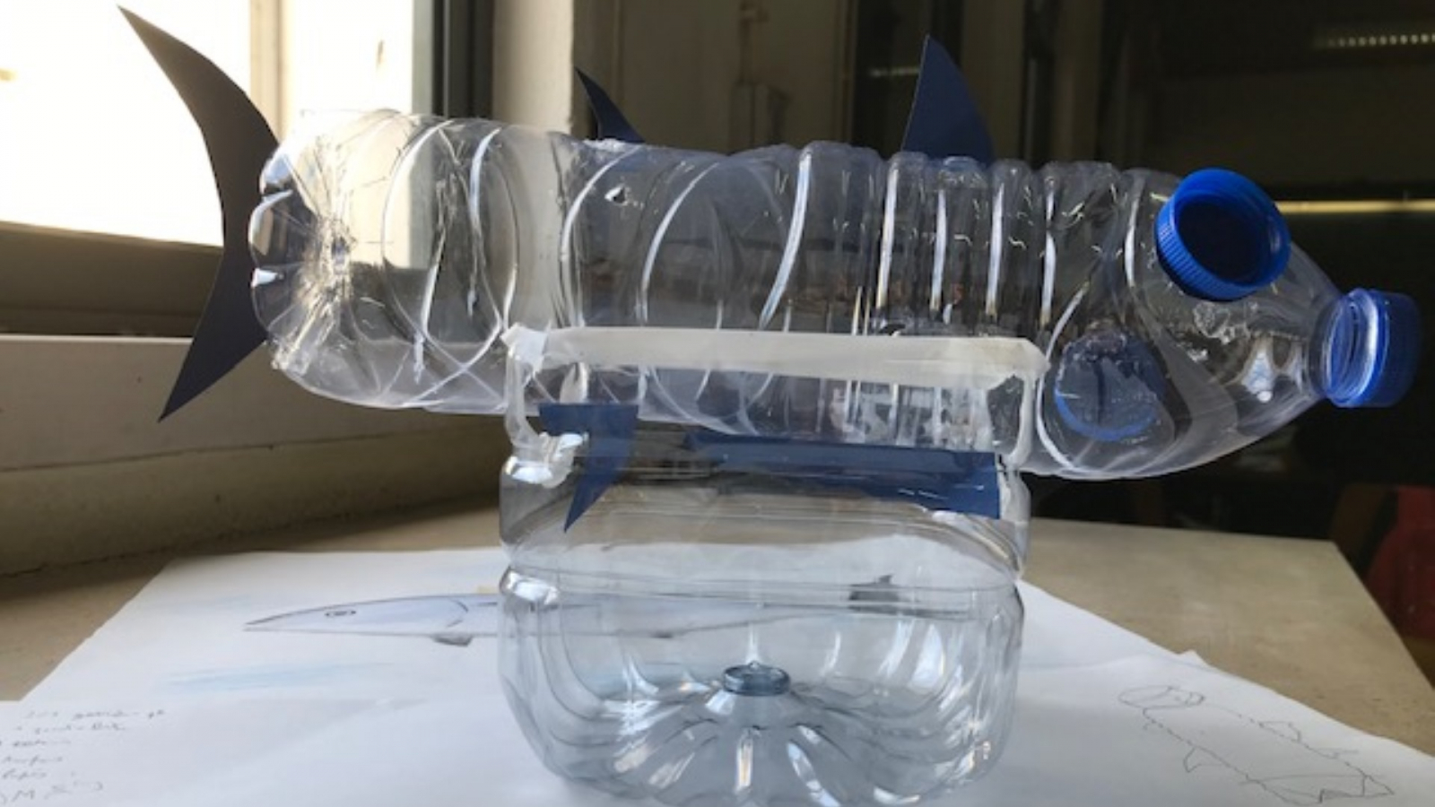 Biodiversidade, Preservar e Regenerar, do Eco - Escolas