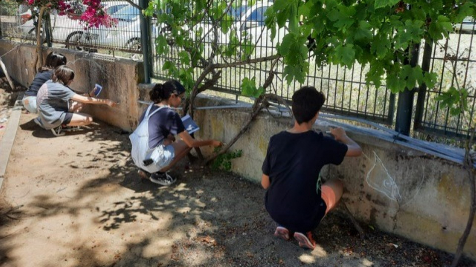 Projeto “ MUROS COM VIDA”