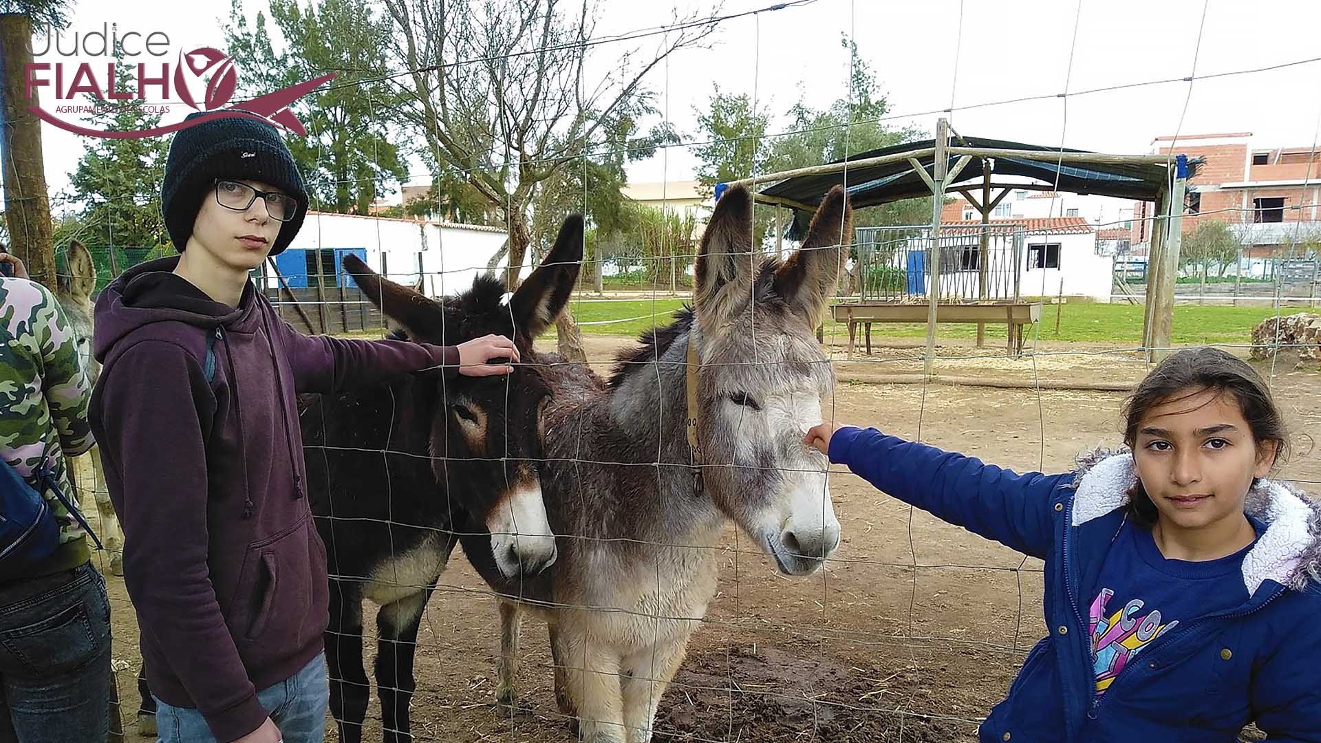 Quarta na Quinta Pedagógica de Portimão